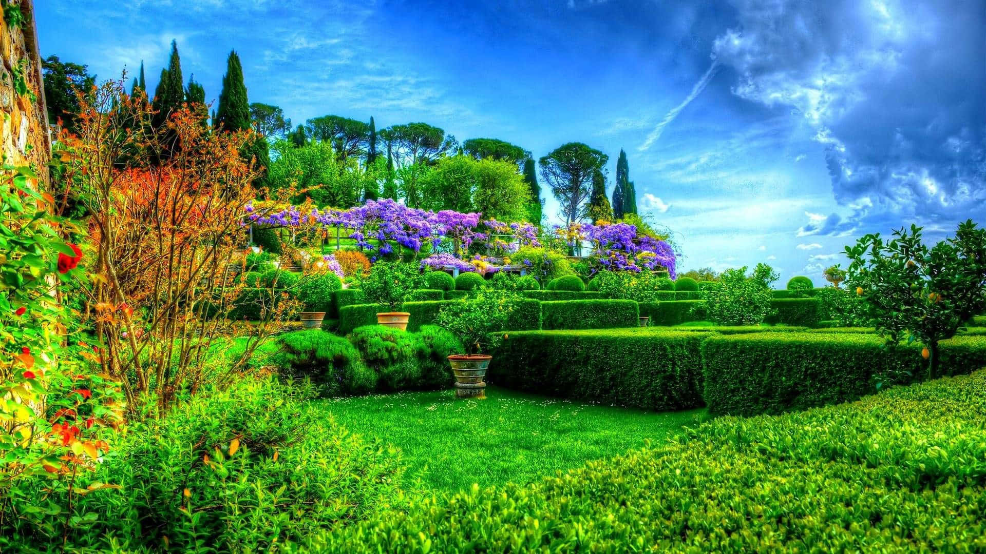 An idyllic garden with lush, green foliage