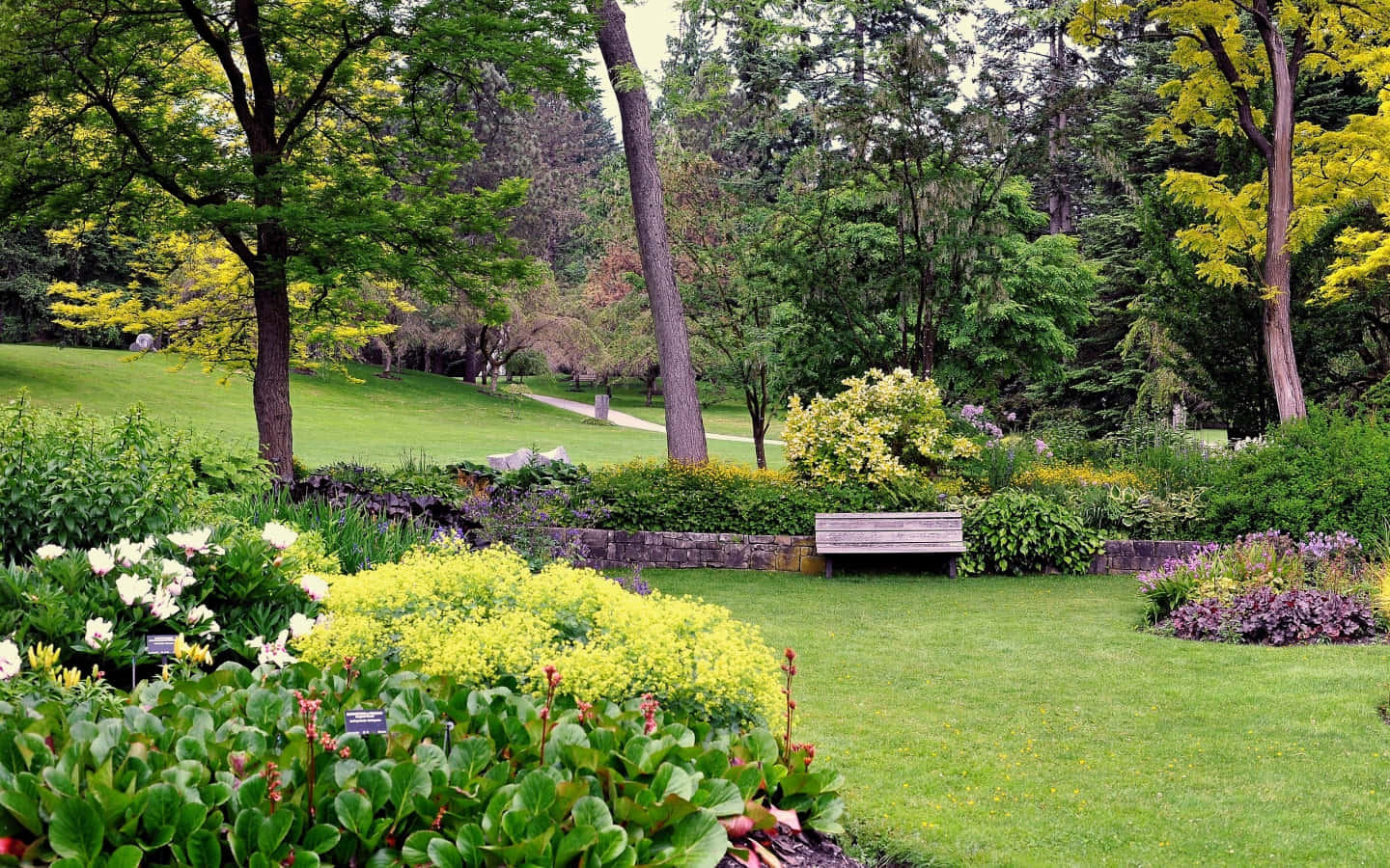 A Garden With A Bench And Trees