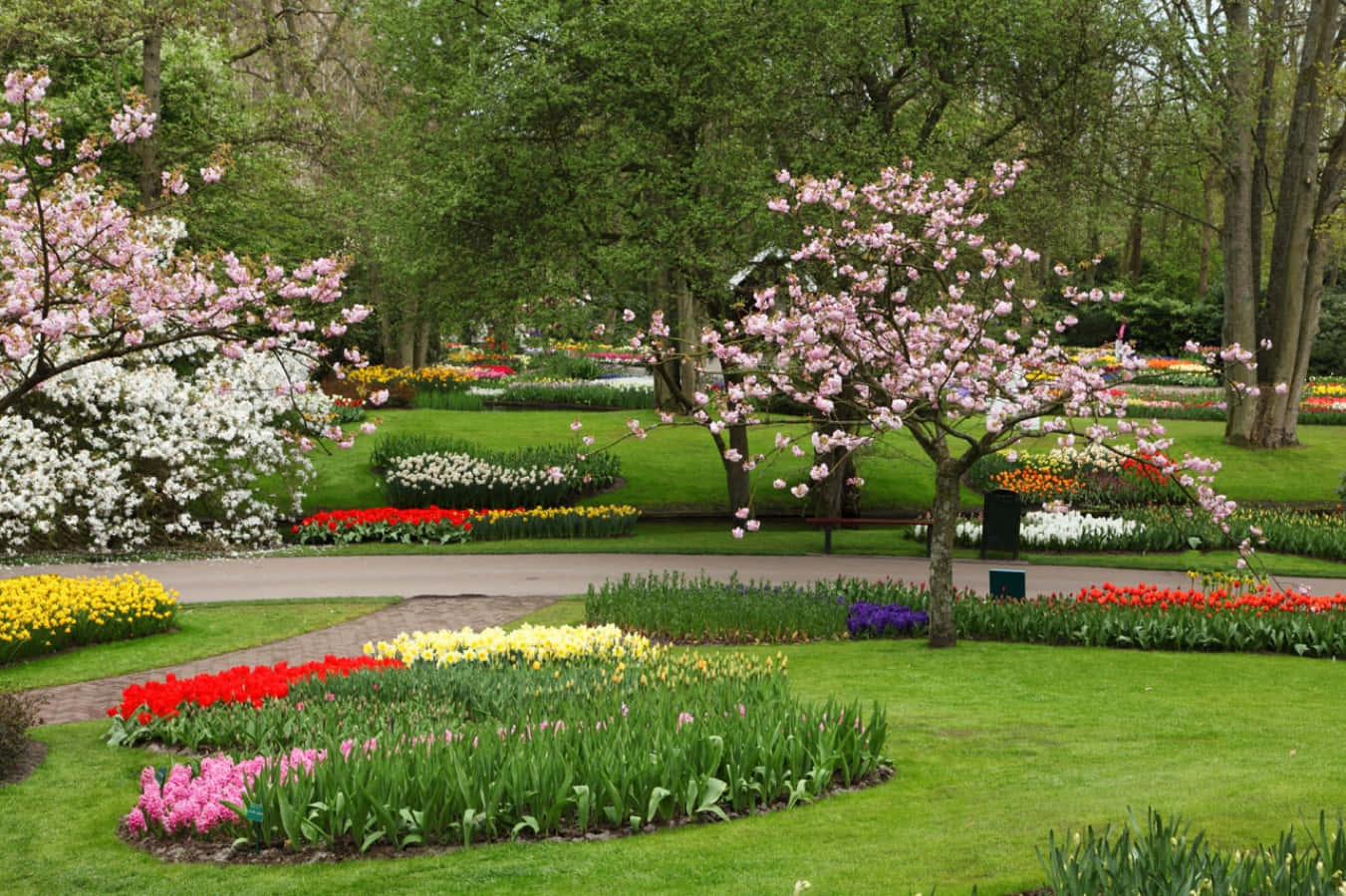 Enpark Med Många Färgglada Blommor