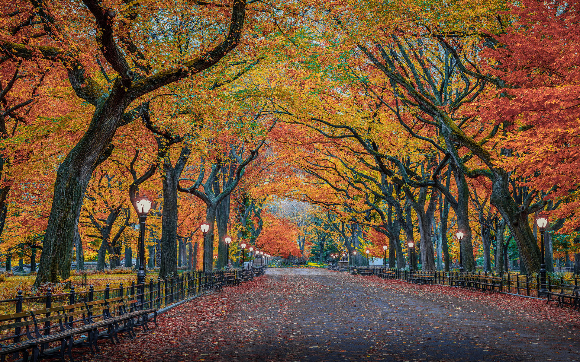 Nature Herbst Road Of New York 4k Wallpaper