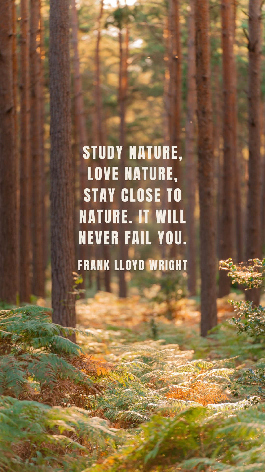 Nature_ Inspiration_ Quote_ Frank_ Lloyd_ Wright Wallpaper