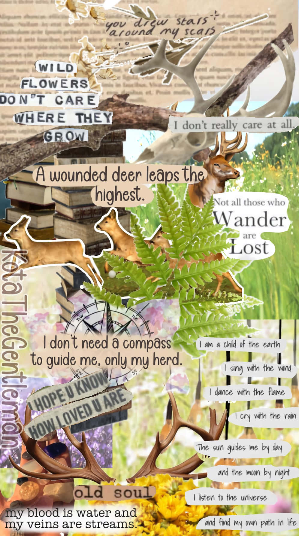 Nature Inspired Collage Art Wallpaper