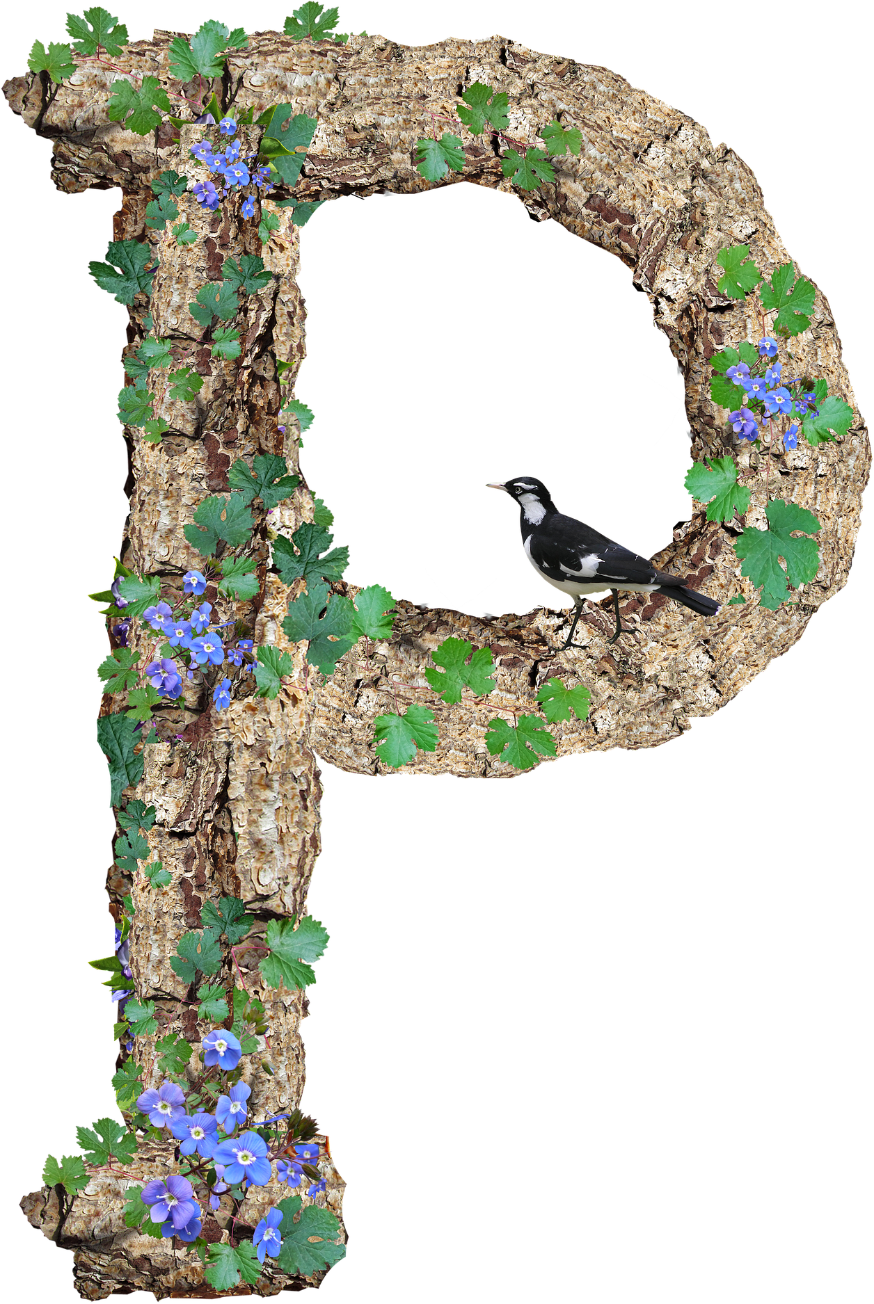 Nature Inspired Letter Rwith Birdand Flowers PNG
