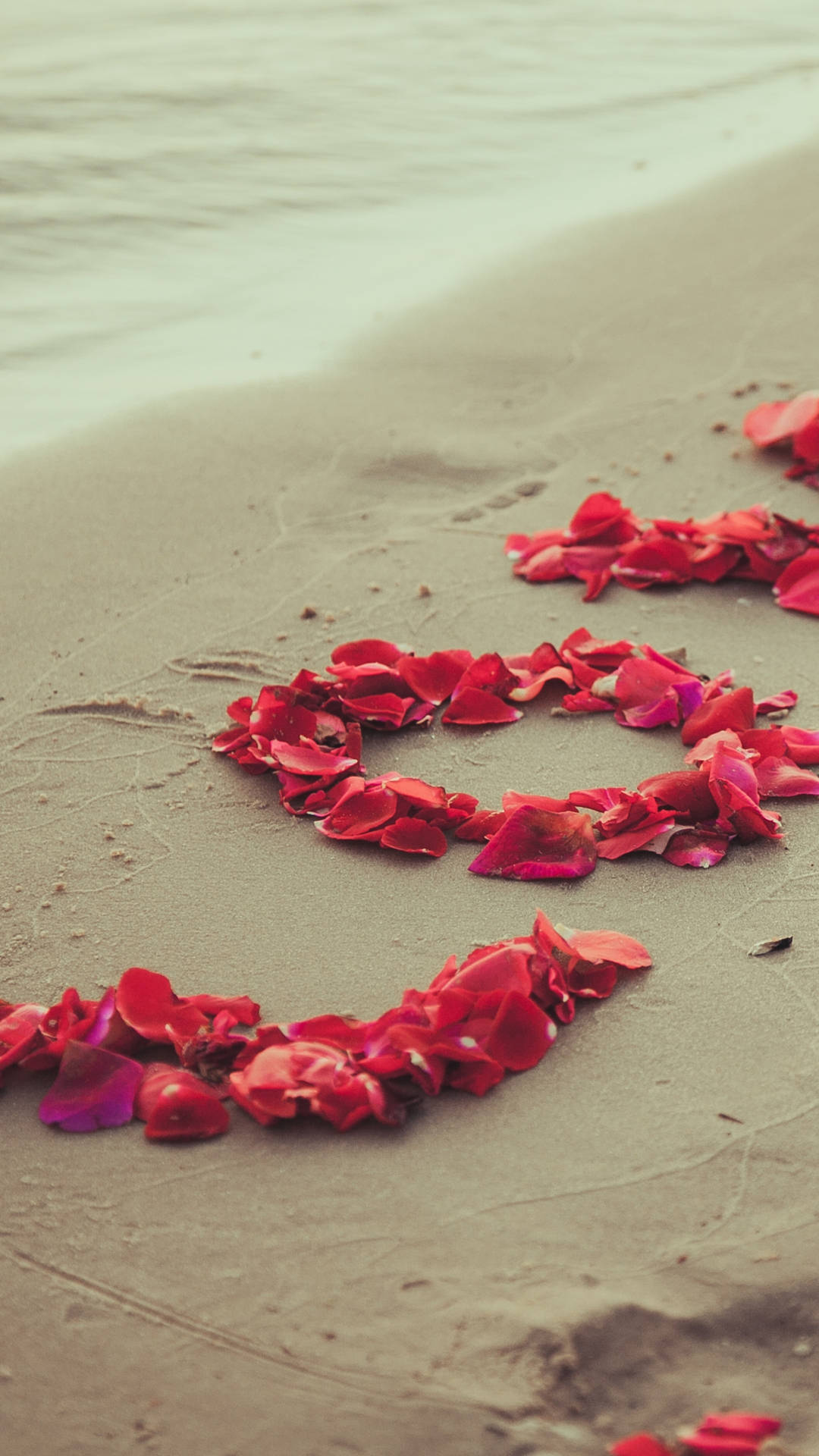 Nature Love Petals On The Beach