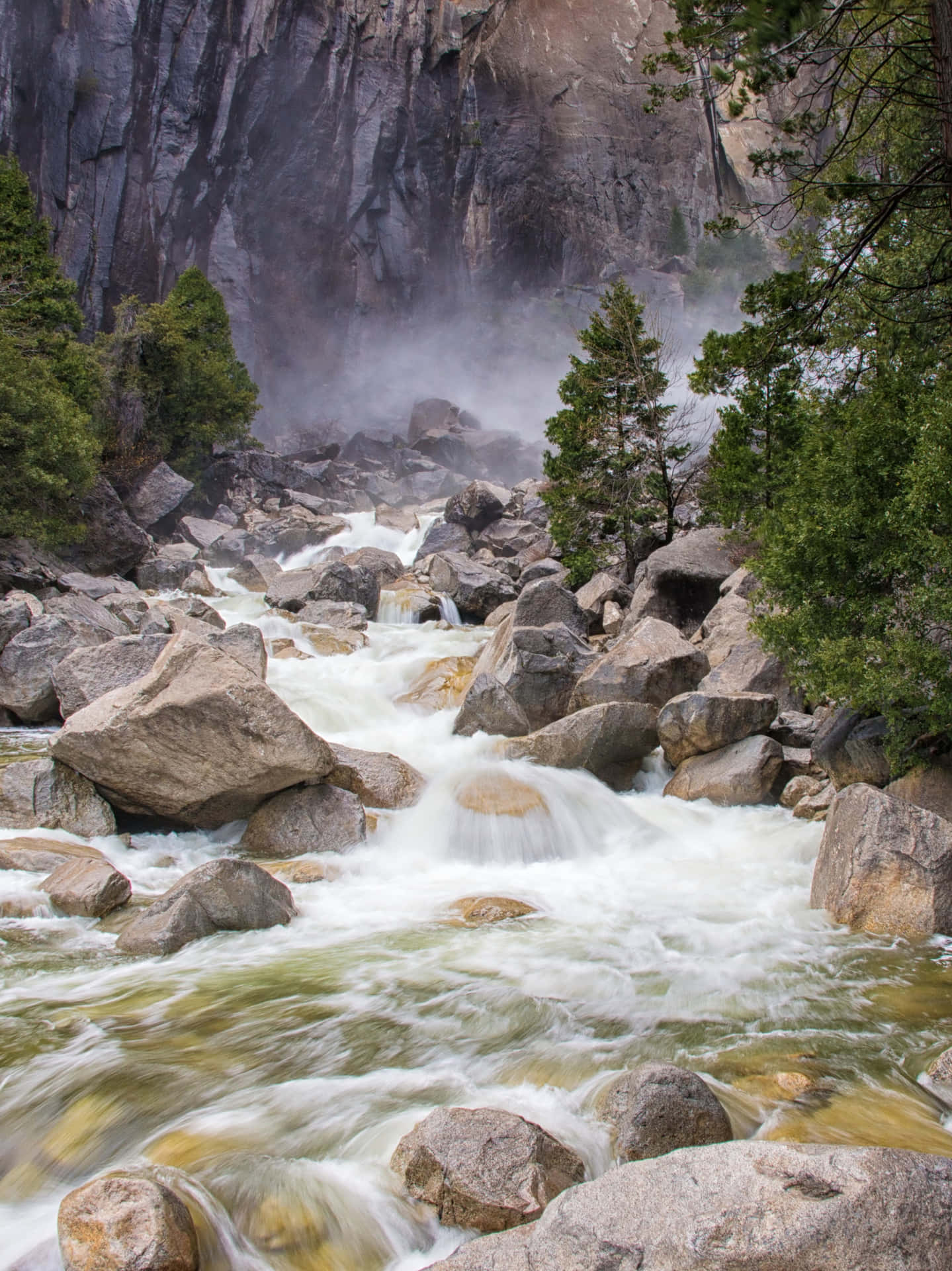 Rocky Mountain Stream Nature Picture