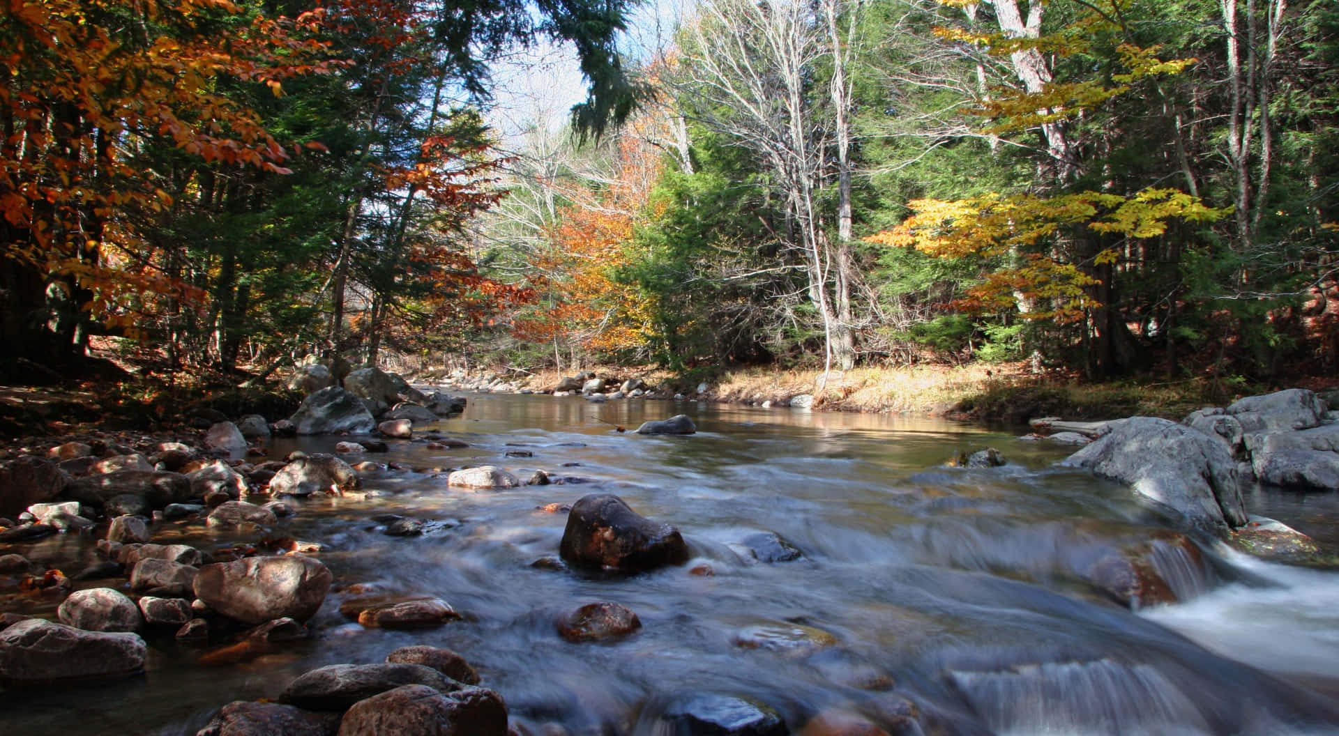 Autumn River Nature Picture
