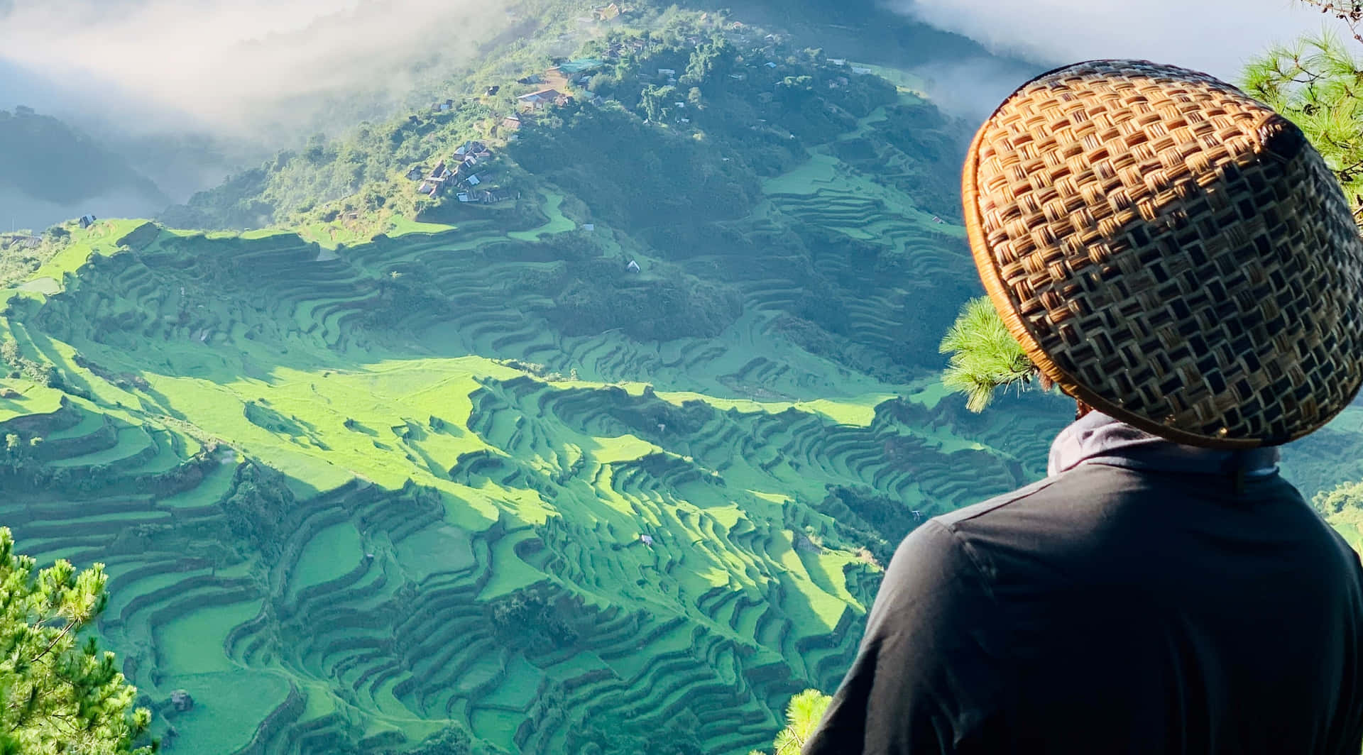 Man Facing Rice Terraces Nature Picture
