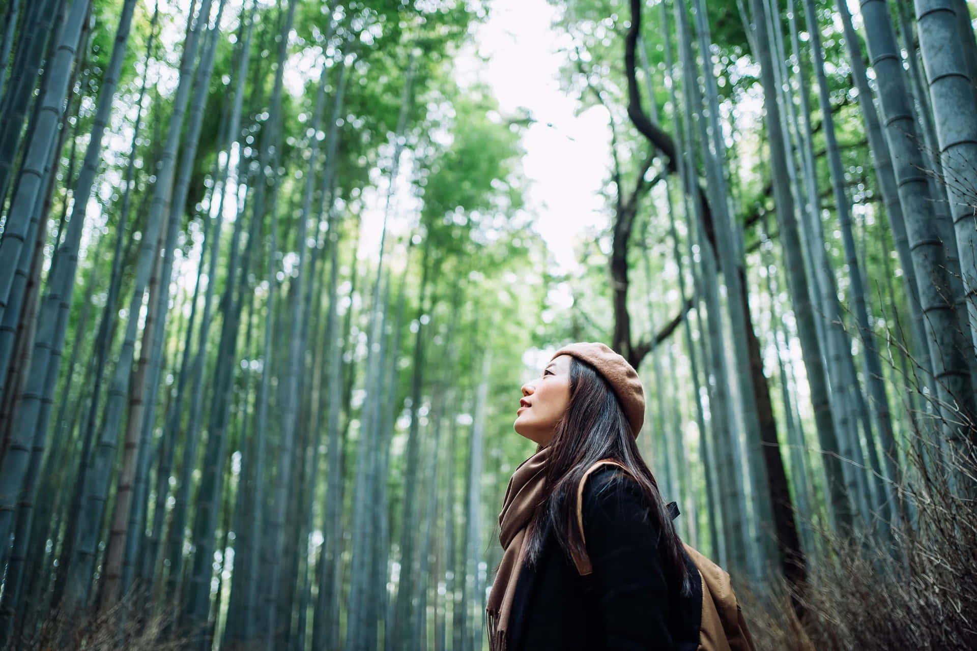 Kvinnai En Bambuskogsbild I Naturen.