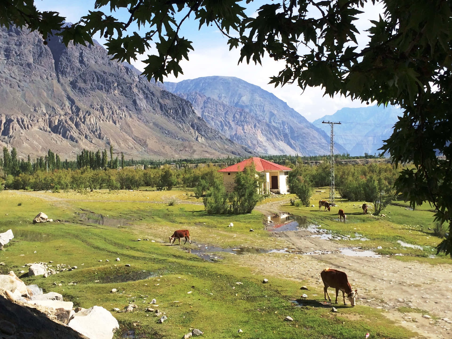 Feel the Calm of Nature in This Himalayan Valley