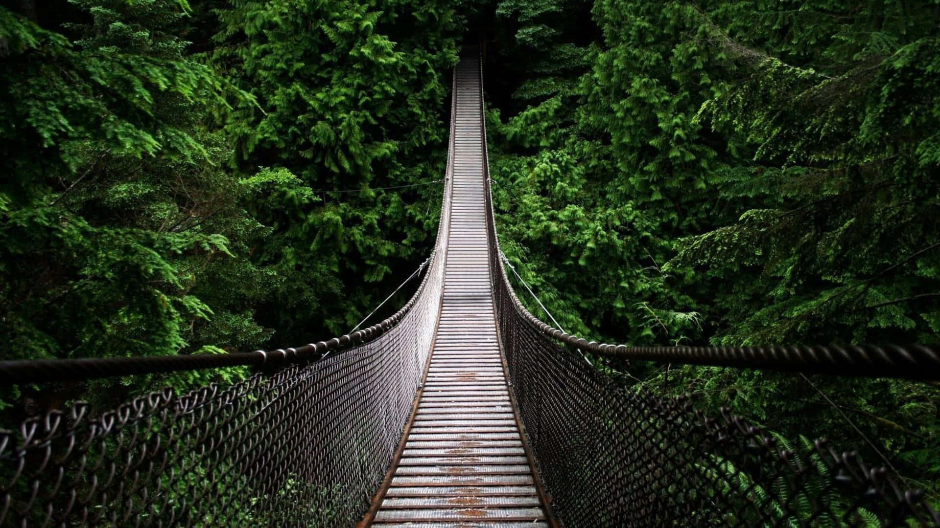 A Suspension Bridge Spanning A Forest Wallpaper