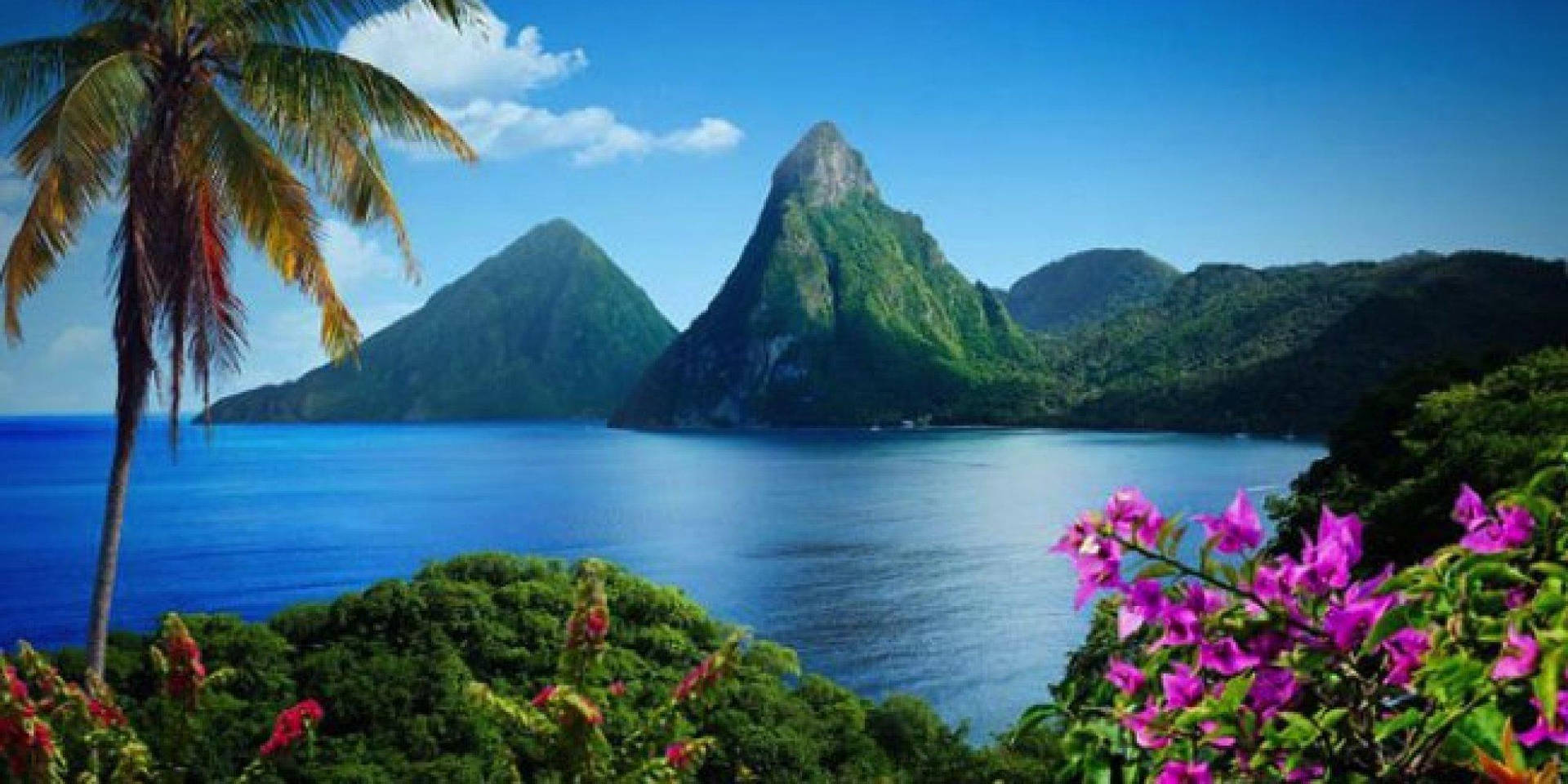 Nature View In St Lucia Wallpaper