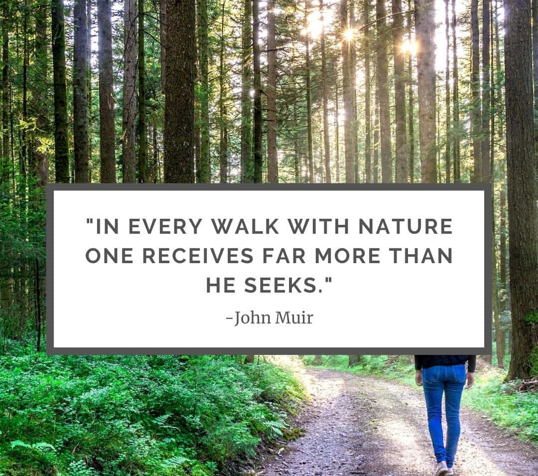 Nature_ Walk_ Inspiration_ Quote_ John_ Muir Wallpaper