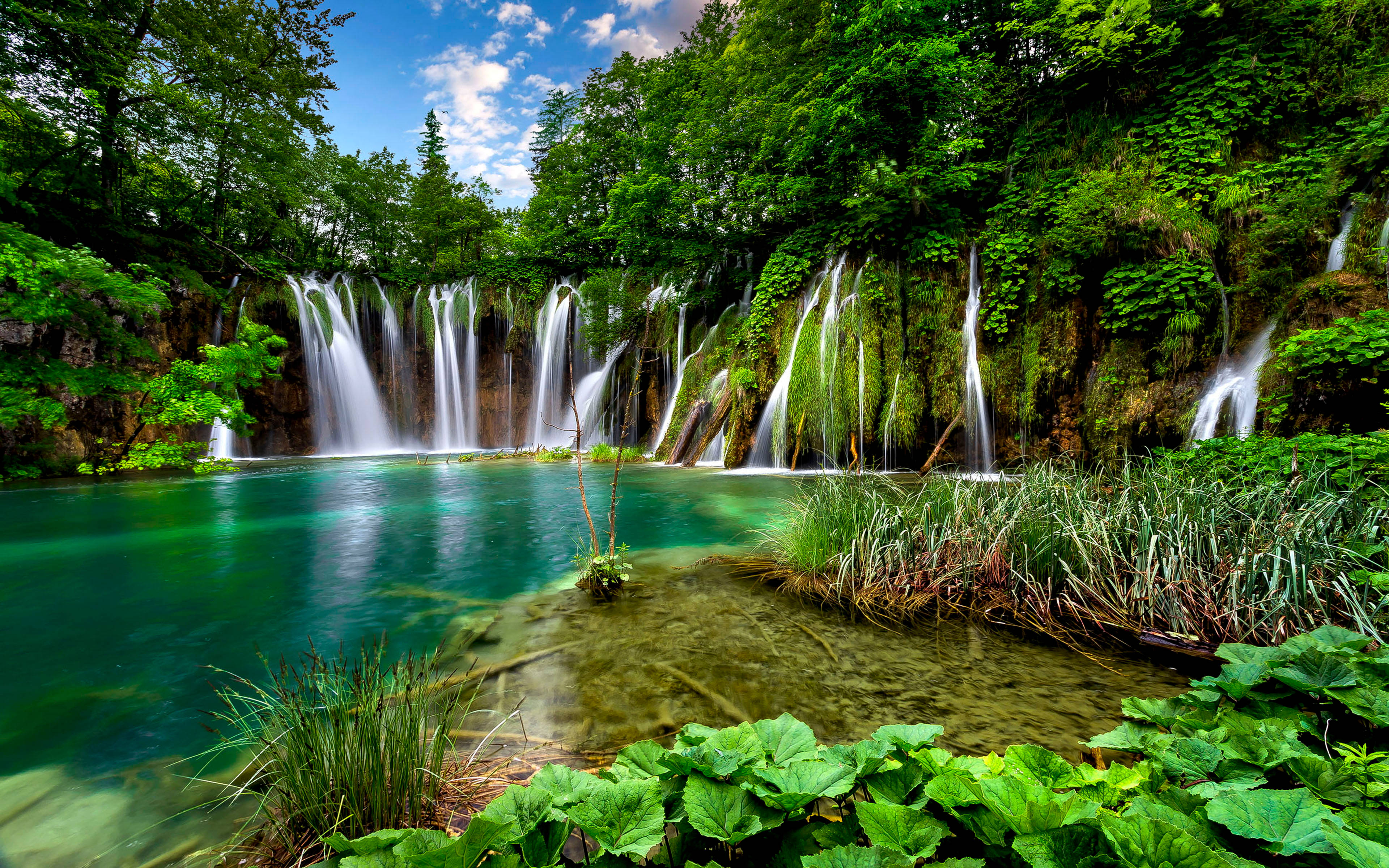 Nature Waterfalls Professional Desktop Wallpaper