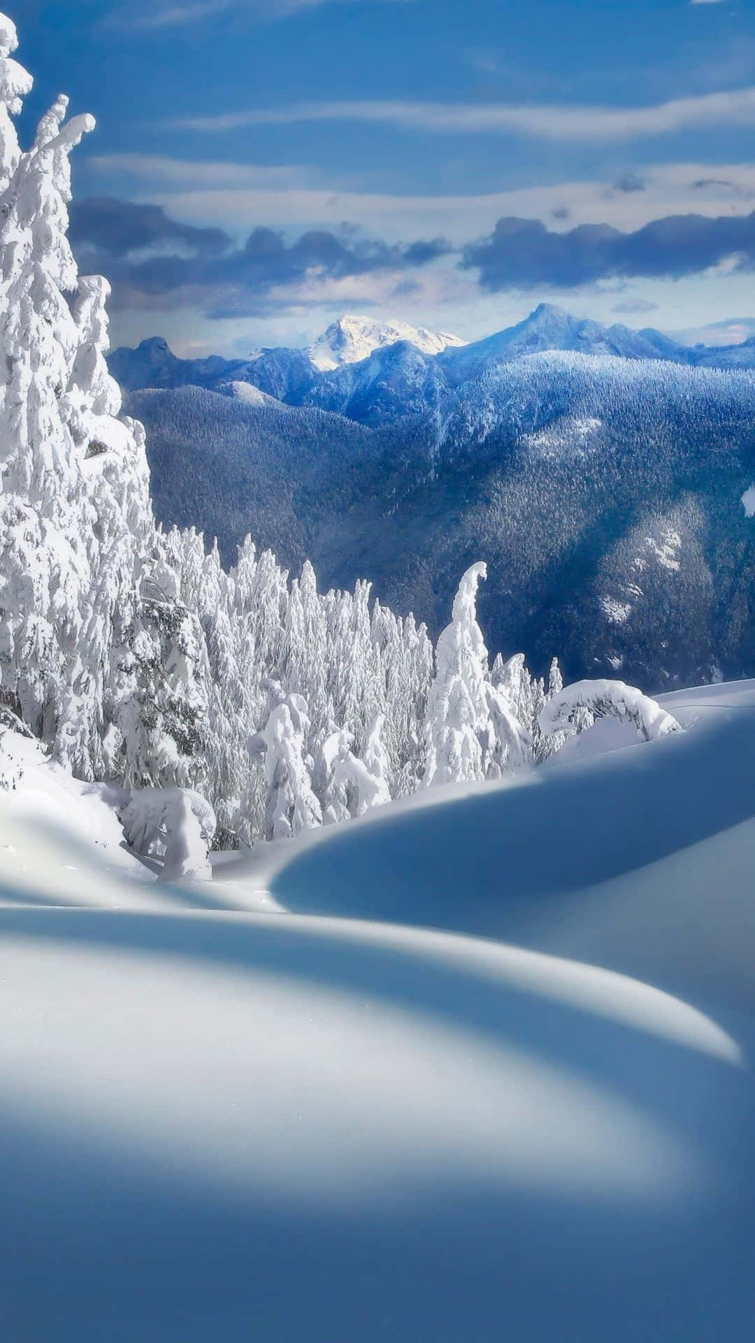 Fange skønheden af vinteren i bjerge med denne landskab tapet. Wallpaper
