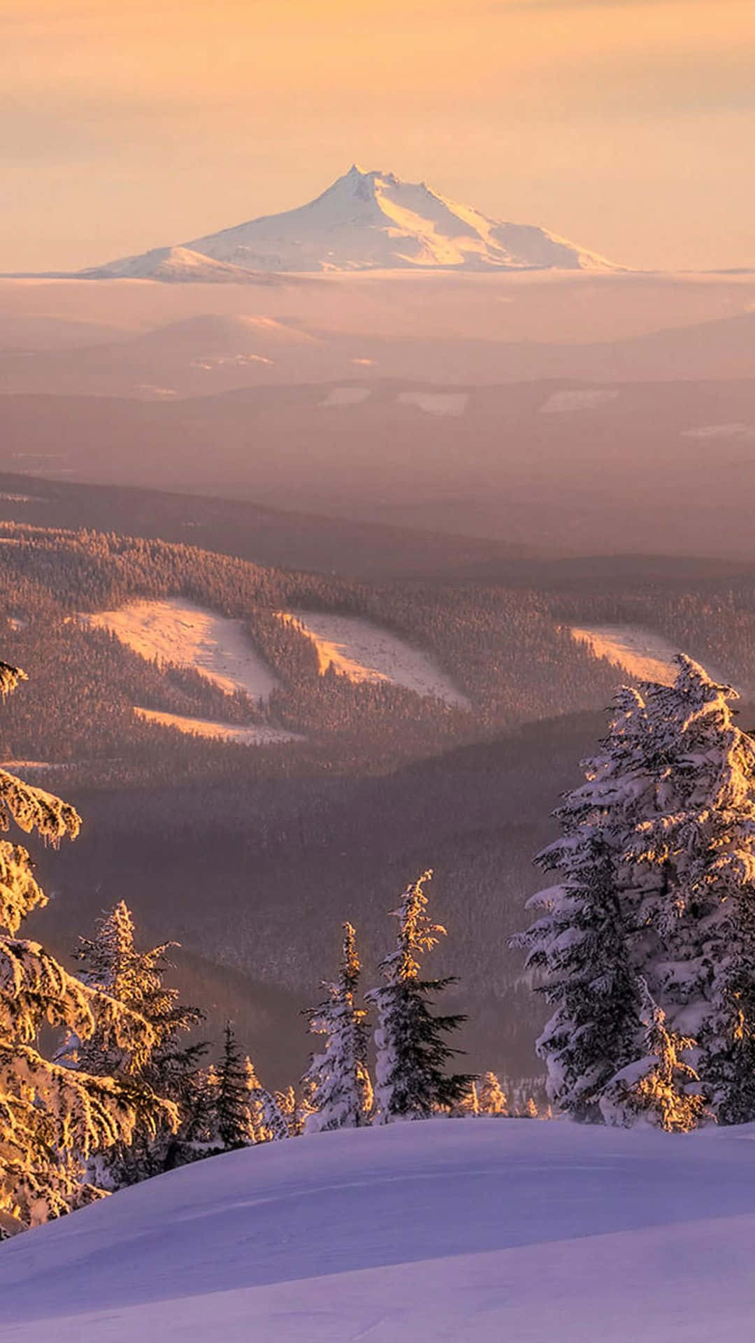 Billedmæssig  Nyd den Majestætiske Vinter Natur Scenarie Wallpaper