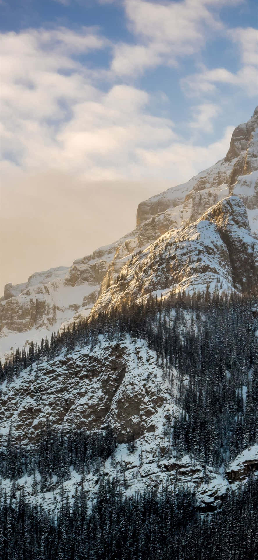 Nyd den fredelige vintersceneri med denne Nature Winter Iphone baggrund. Wallpaper