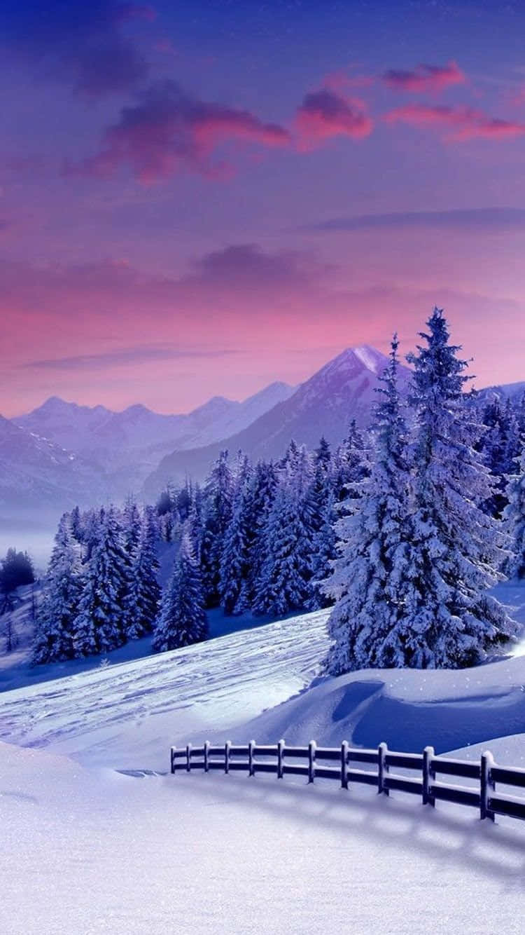 Solnedgångöver Naturen Vinter Iphone Wallpaper