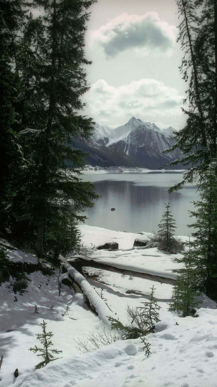 Natur Vinter Iphone 720 X 1280 Wallpaper