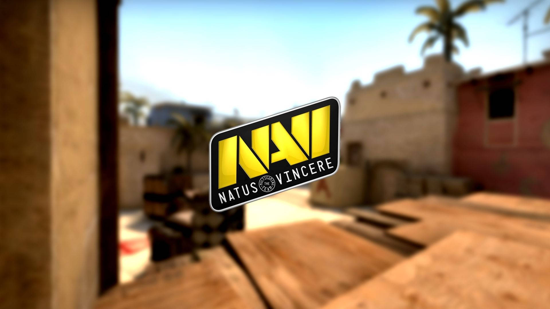 Natus Vincere On The Battlefield