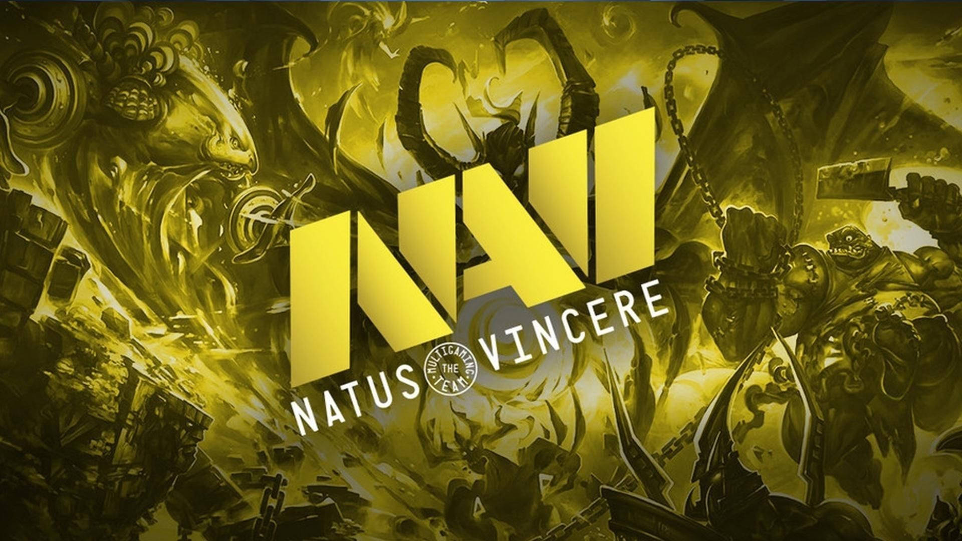 Natus Vincere With Heroes