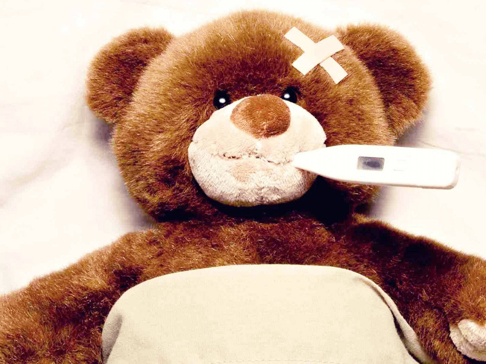Nauseous Teddy Bear In Bed Wallpaper