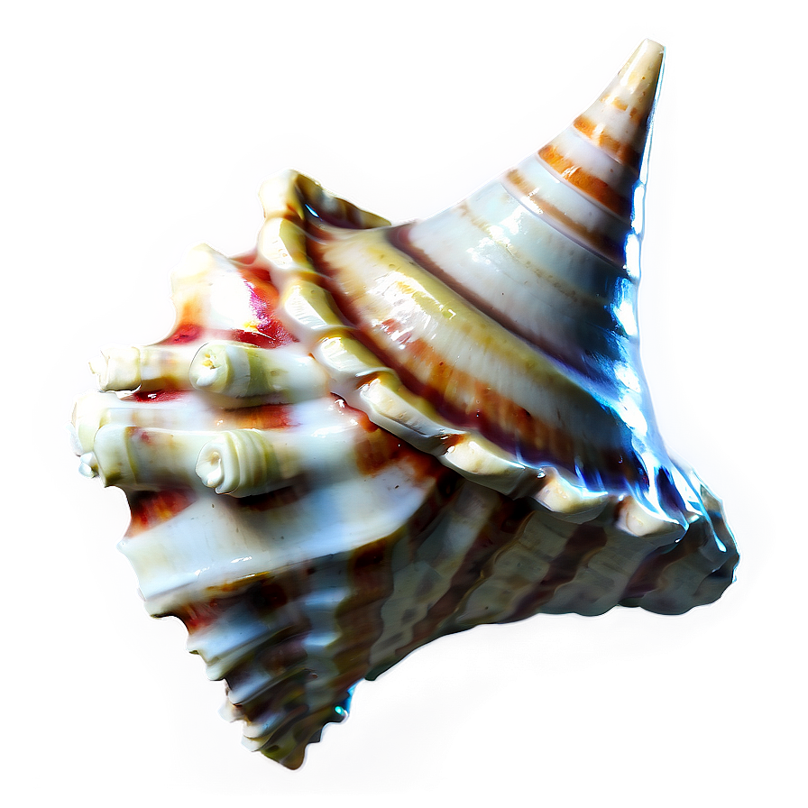 Nautical Conch Shell Png Utr42 PNG