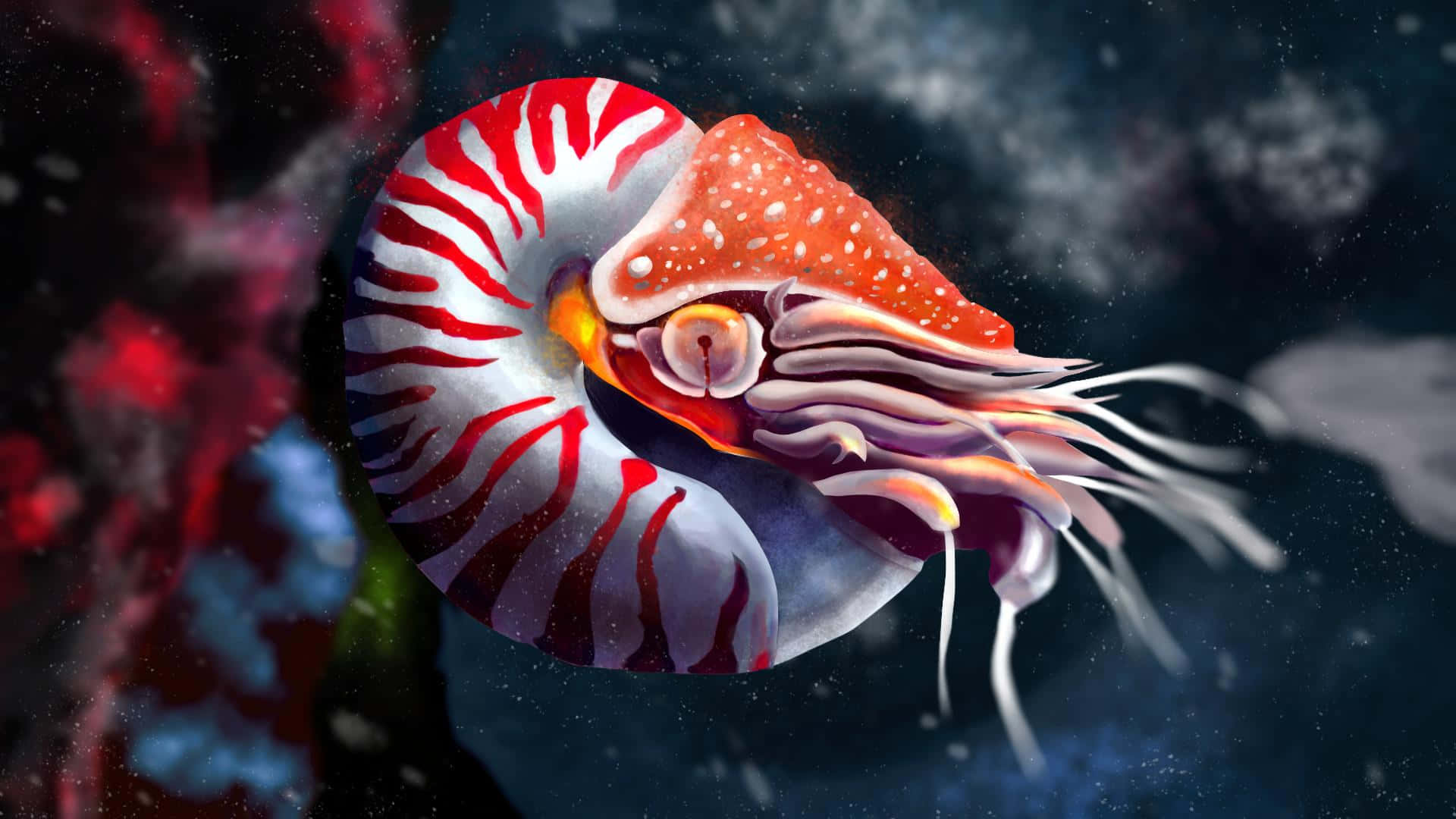 Nautilus In Deep Sea Wallpaper