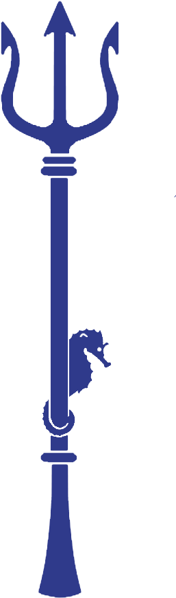 Navy Blue Trident Silhouette PNG