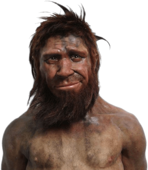 Neanderthal Man Portrait PNG