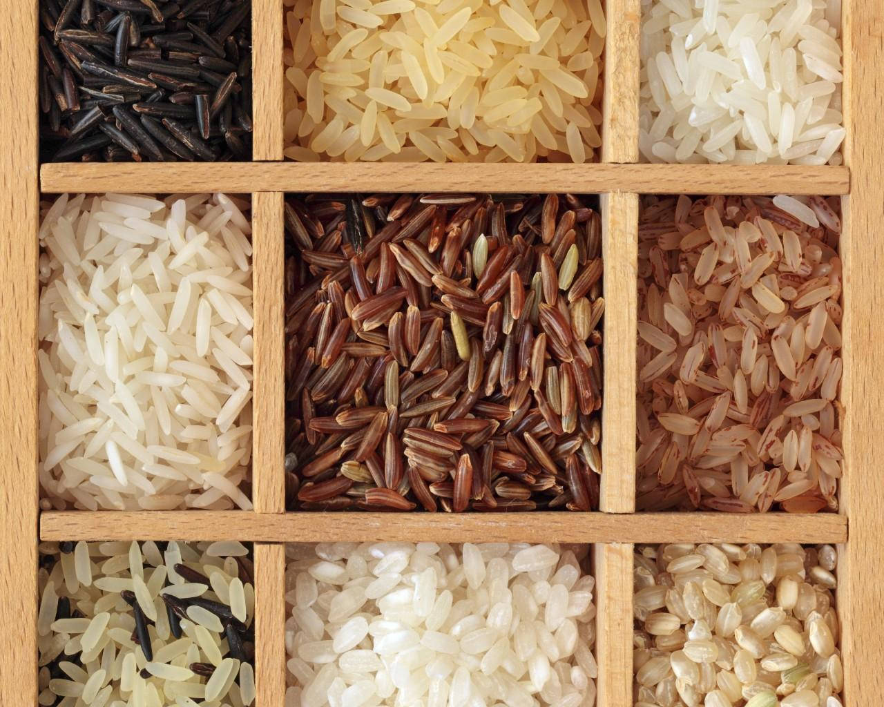Neatly Arranged Rice Wallpaper