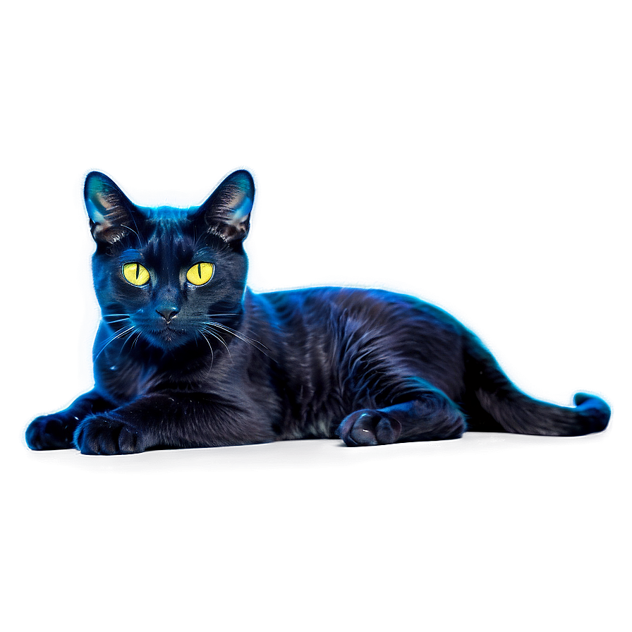 Nebula Cat Png 06242024 PNG