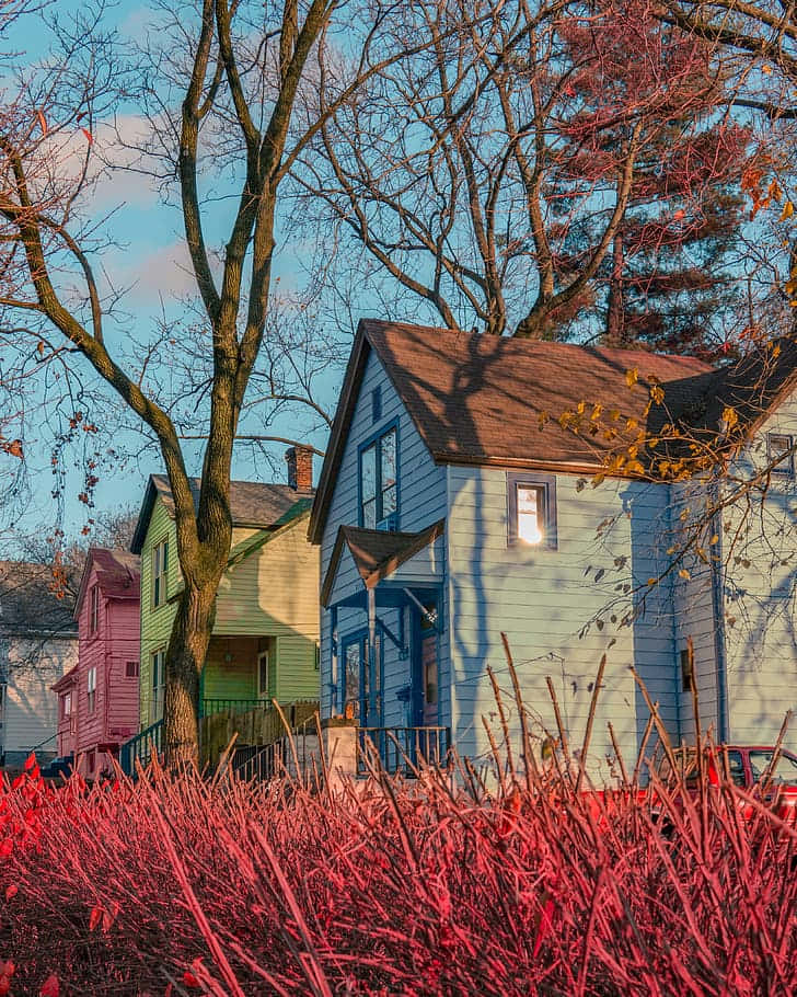 "Home Sweet Home: A cozy neighborhood in autumn awaits"