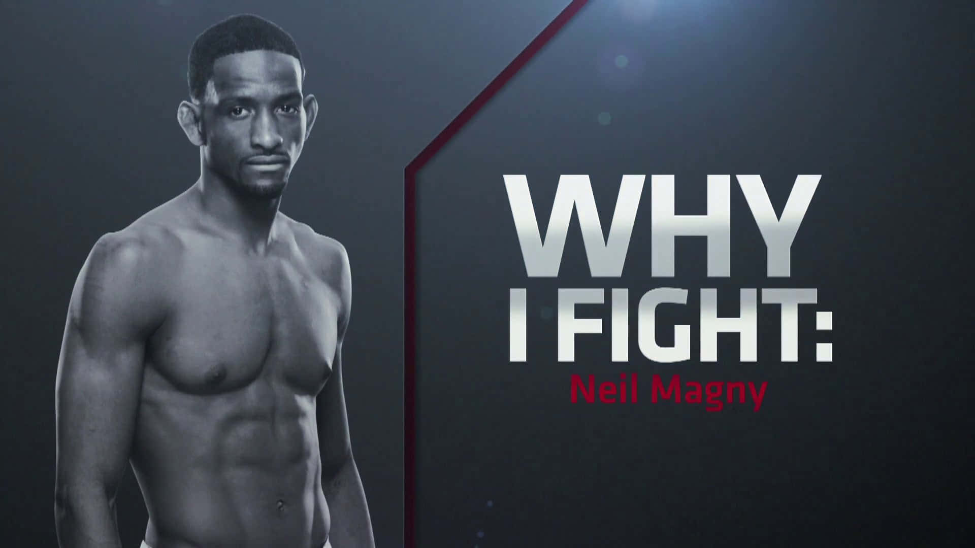 Neil Magny Why Fight Wallpaper