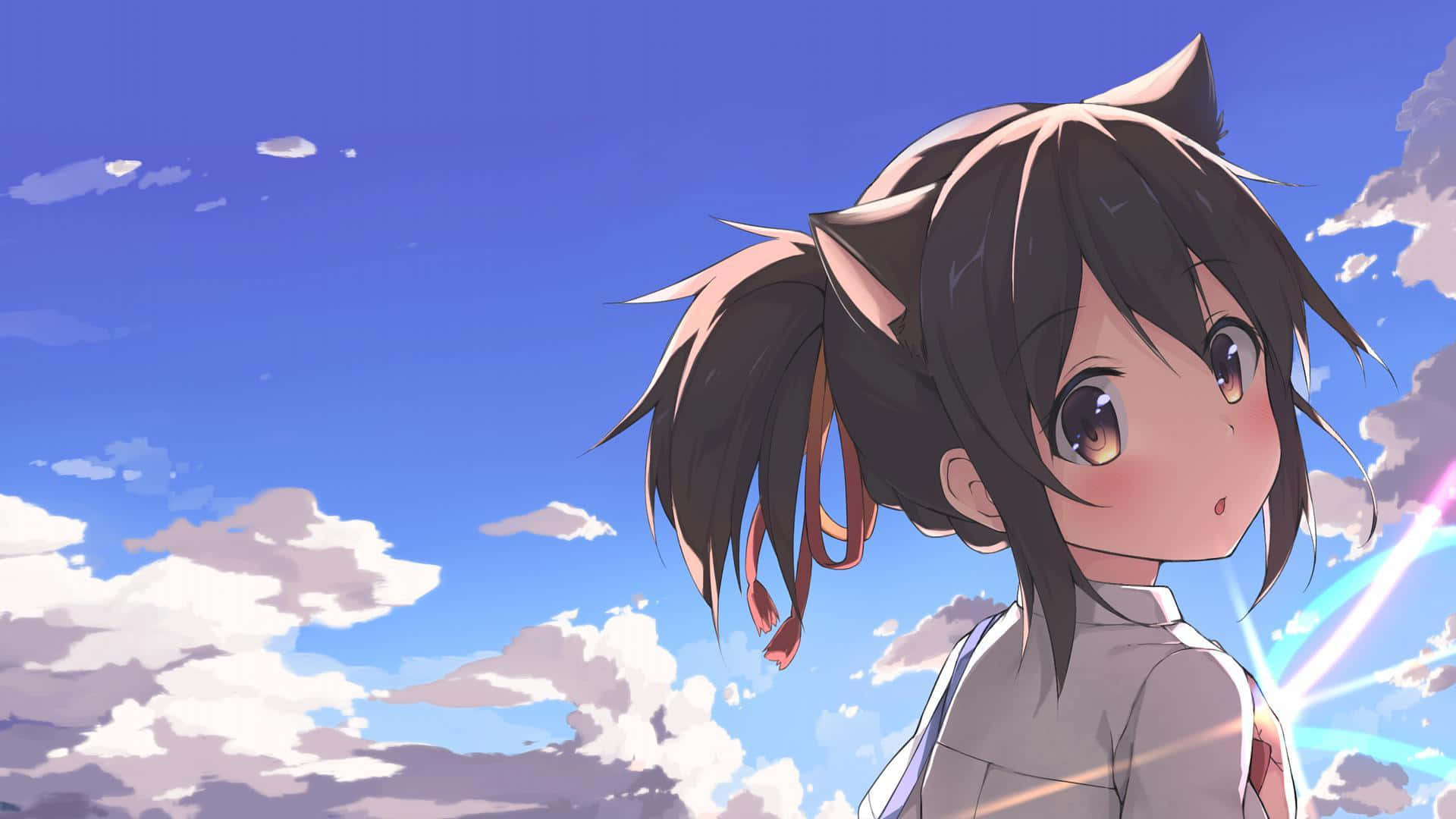 Neko Girl Gazingat Sky Wallpaper