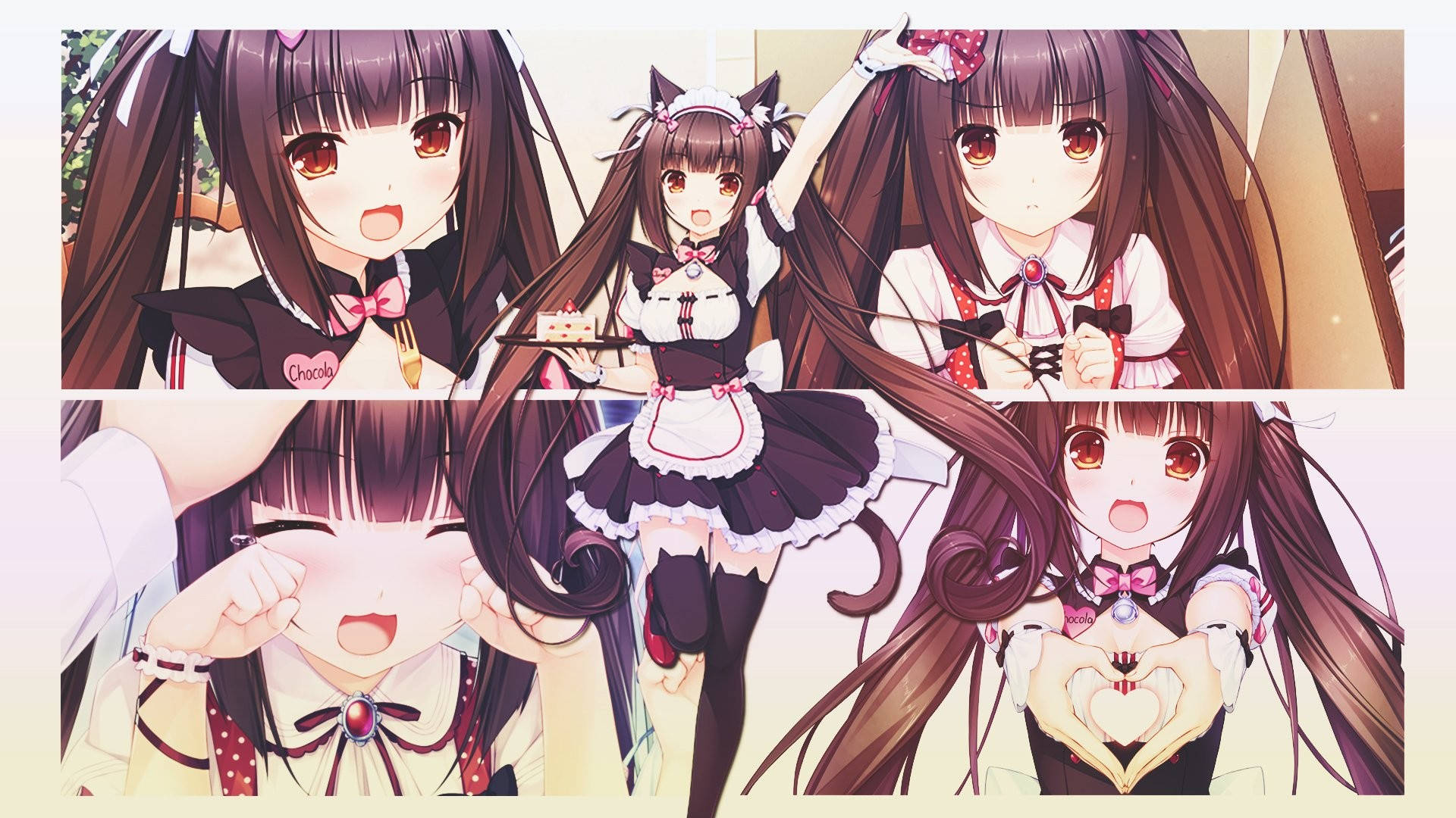 Vitrine De Chocola De Nekopara Fond d'écran