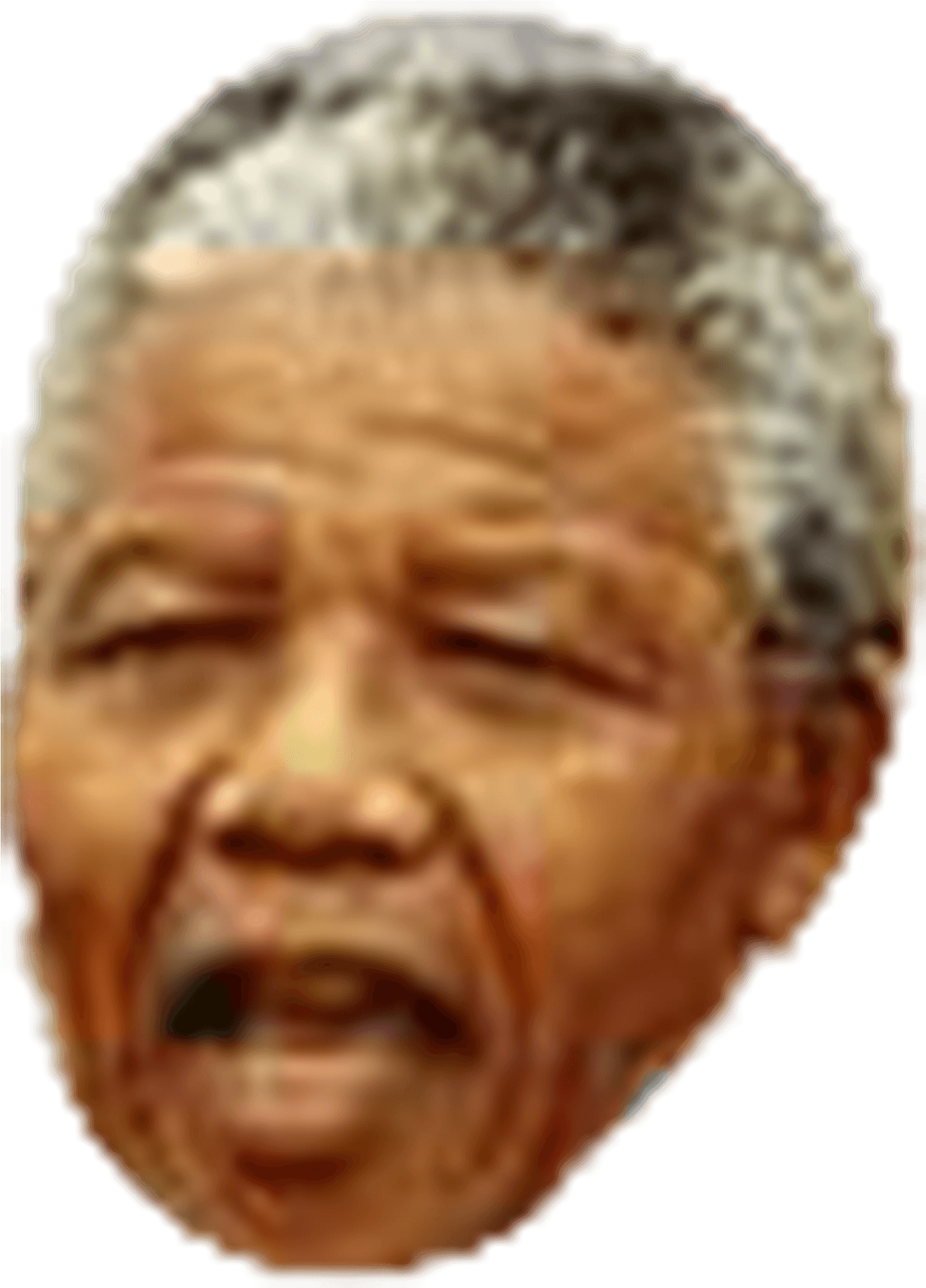 Download Nelson Mandela Portrait | Wallpapers.com