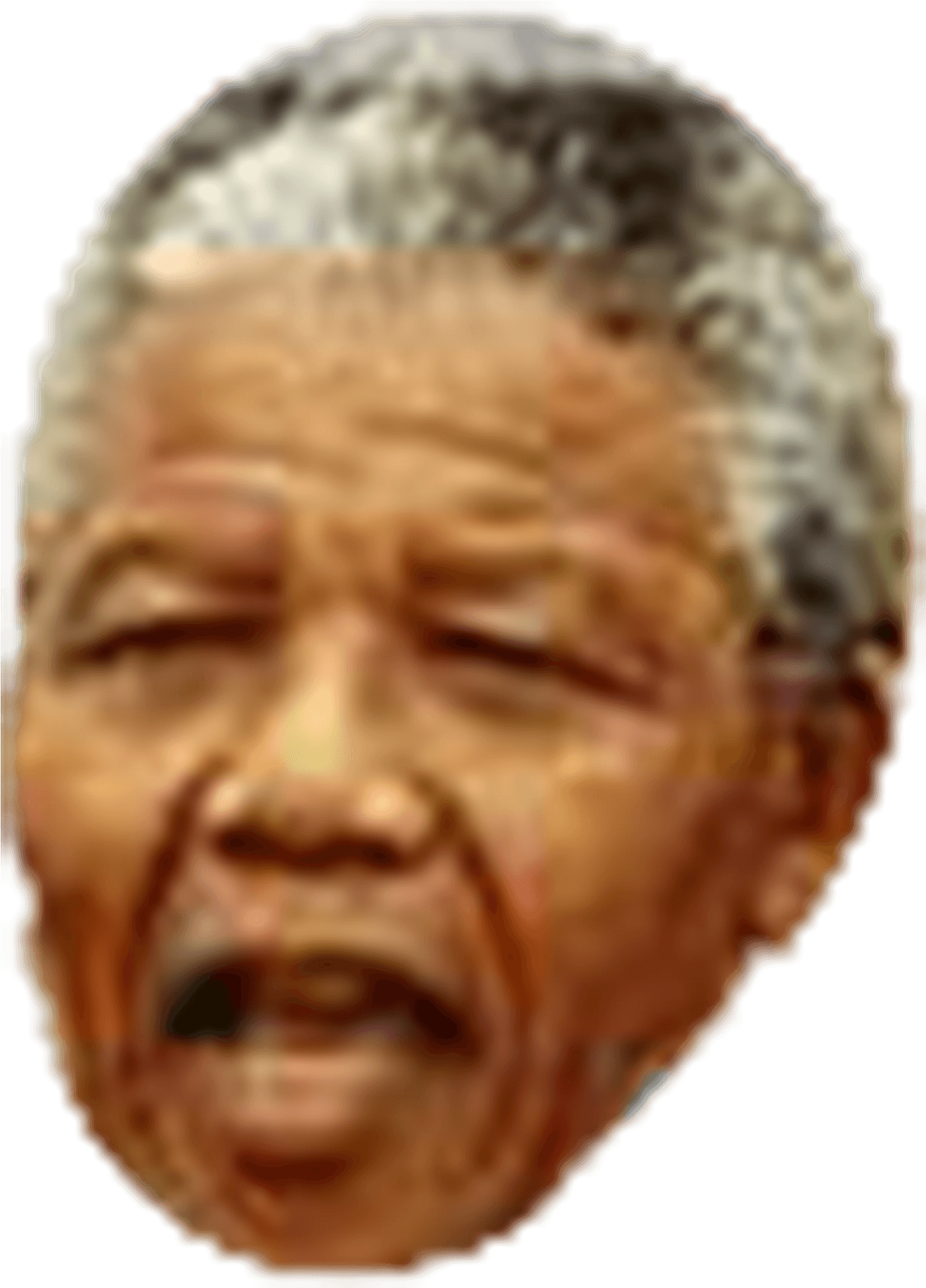 Nelson Mandela Portrait PNG