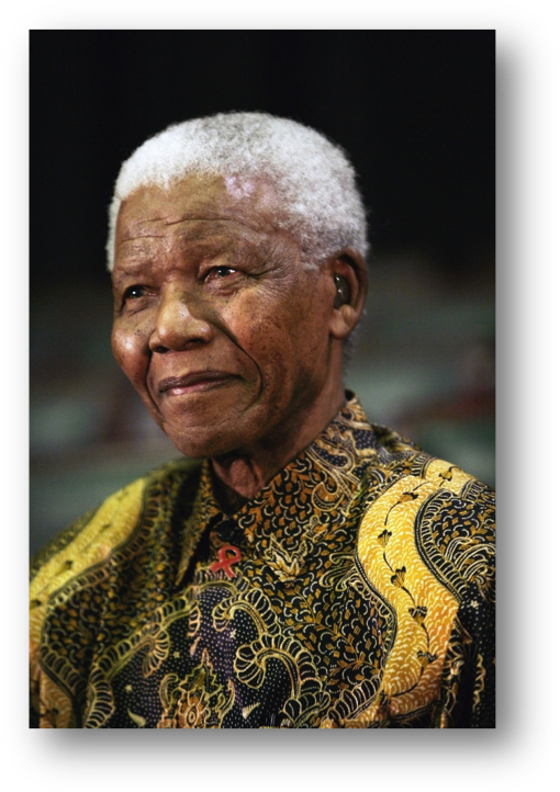 Download Nelson Mandela Portrait | Wallpapers.com