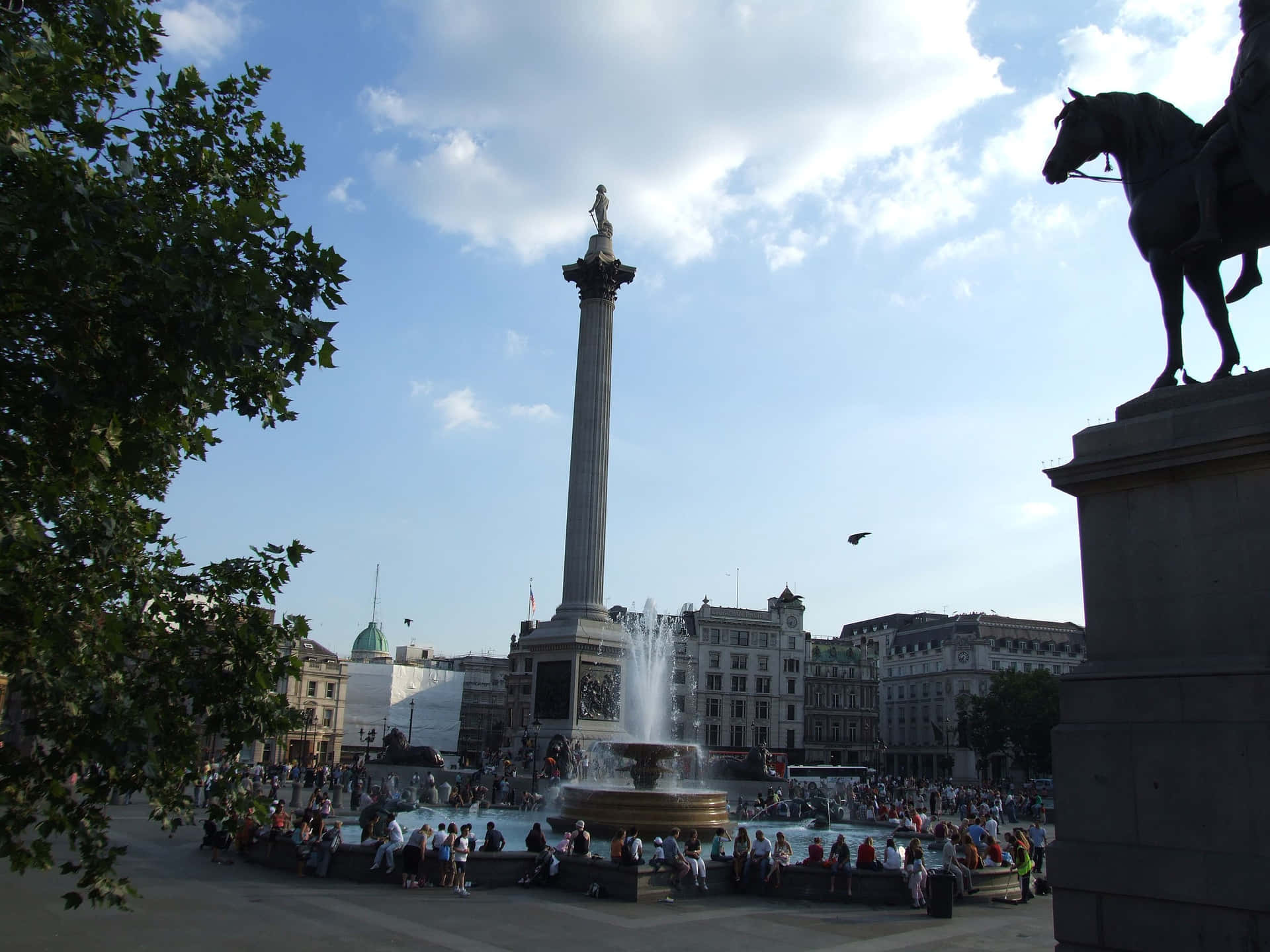 Nelsons Column Trafalgar Square Picture