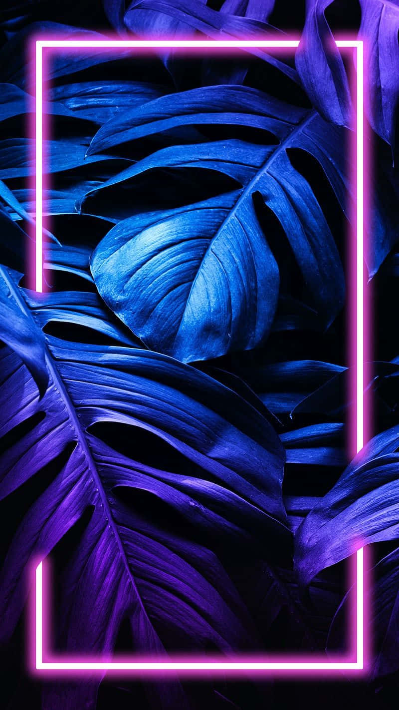 lilla og blå blade med en neon ramme Wallpaper