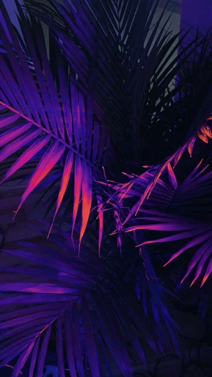 A Purple And Blue Palm Tree With Lights On It Wallpaper