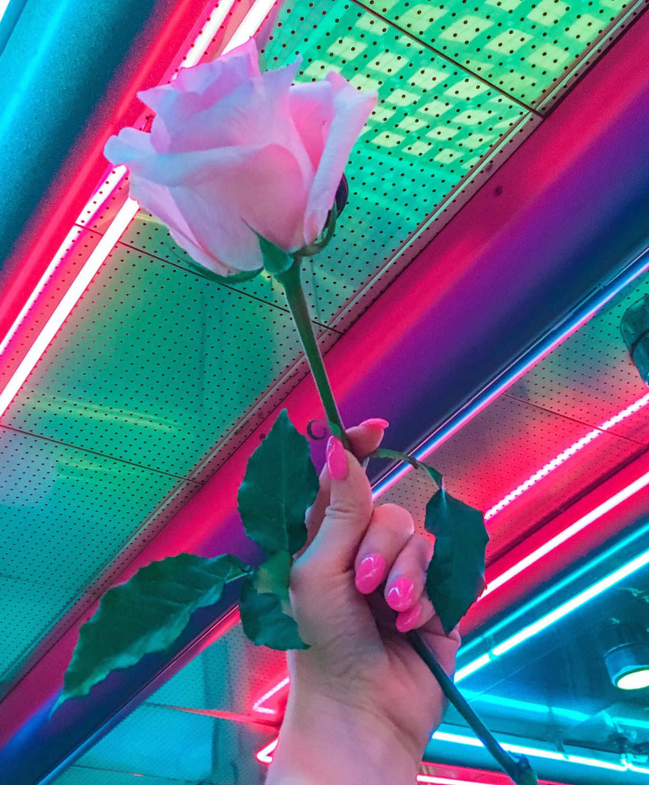 A colorful dreamscape of a Neon Aesthetic