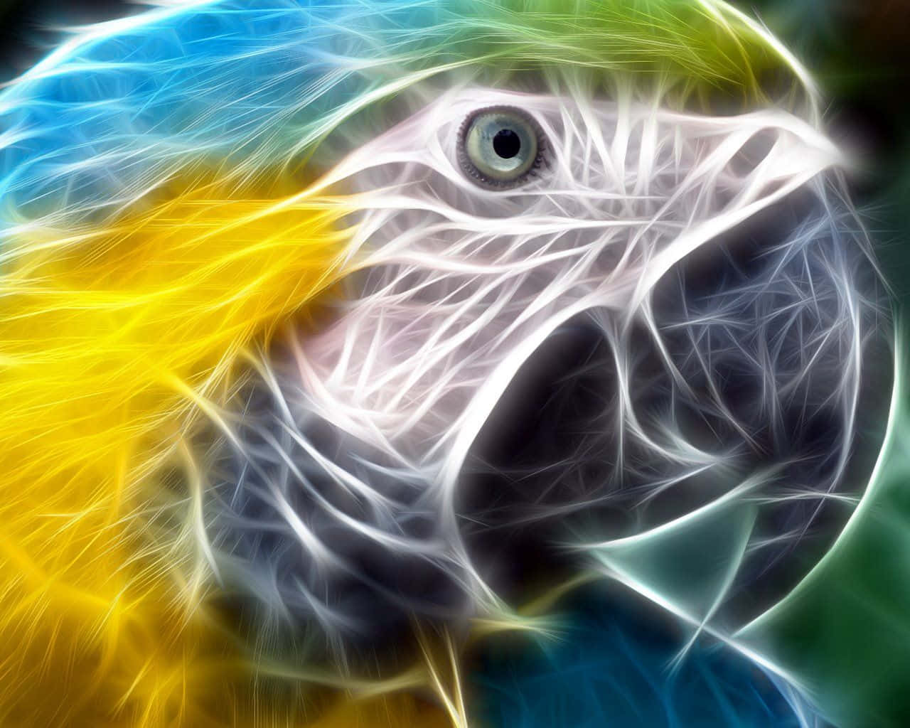 Neon Animal Macaw Bird's Head Wallpaper