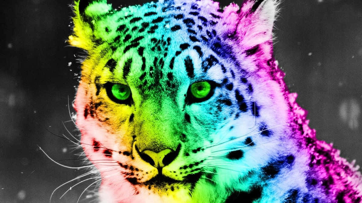 Neon Animal Rainbow Cheetah With Green Eyes Wallpaper