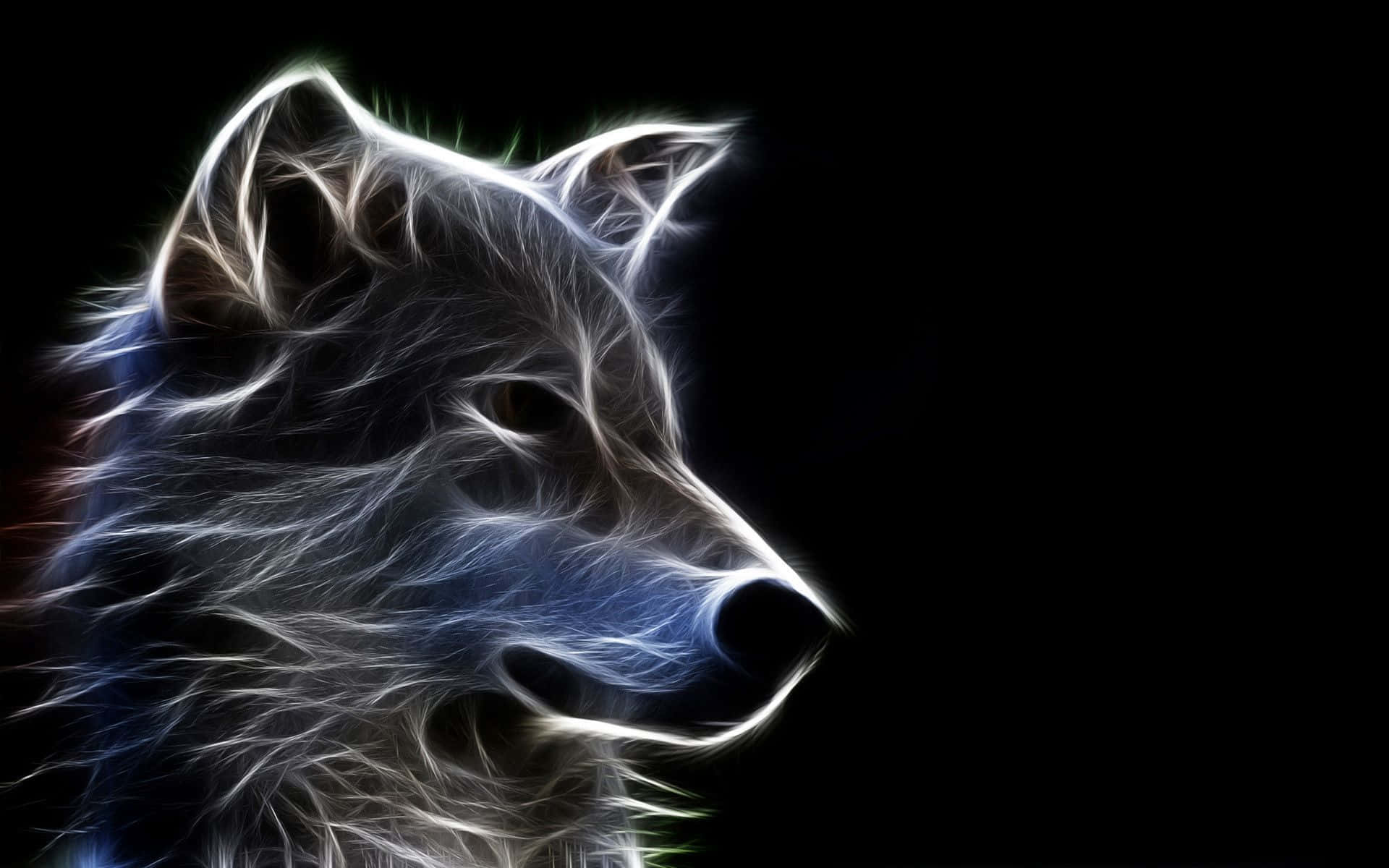 Neon Animal Arctic Wolf Outline Art Wallpaper