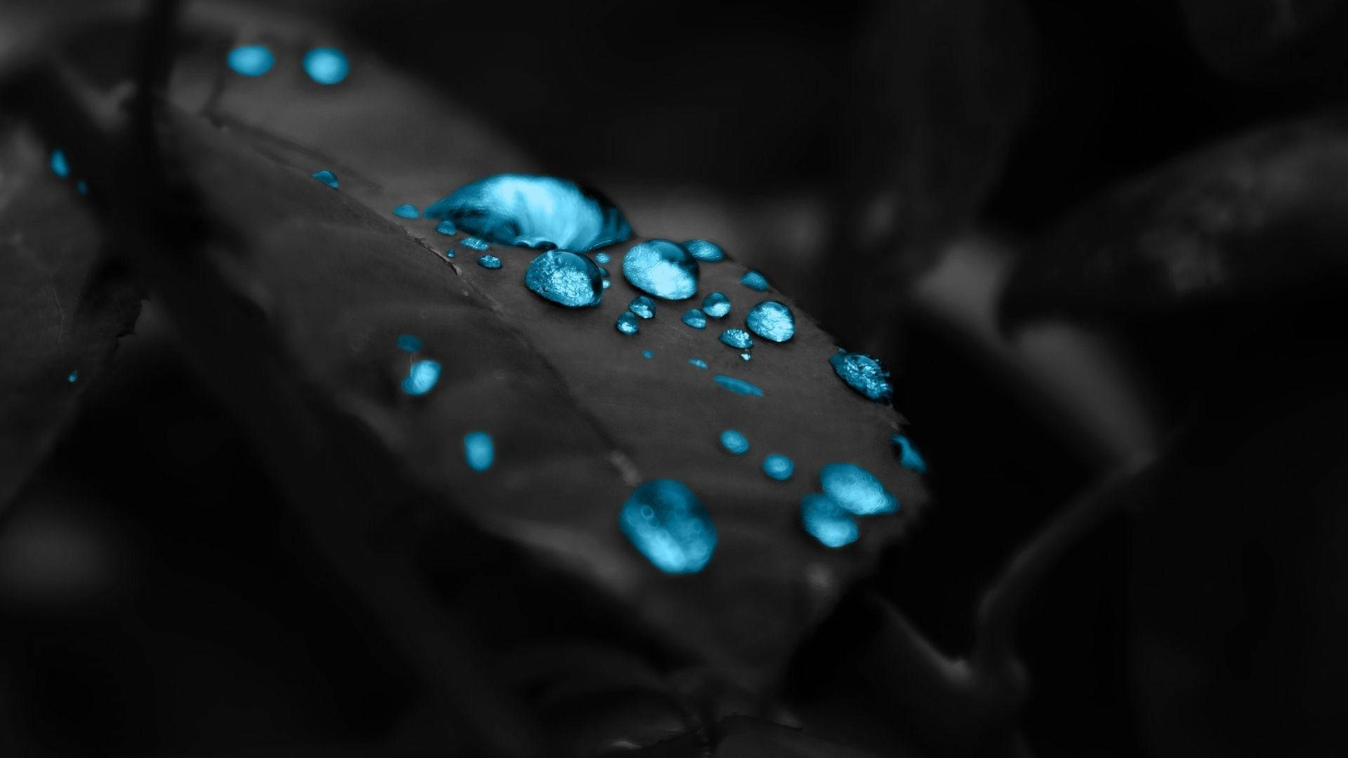 Neon Blue Aesthetic Leaf Droplets Wallpaper