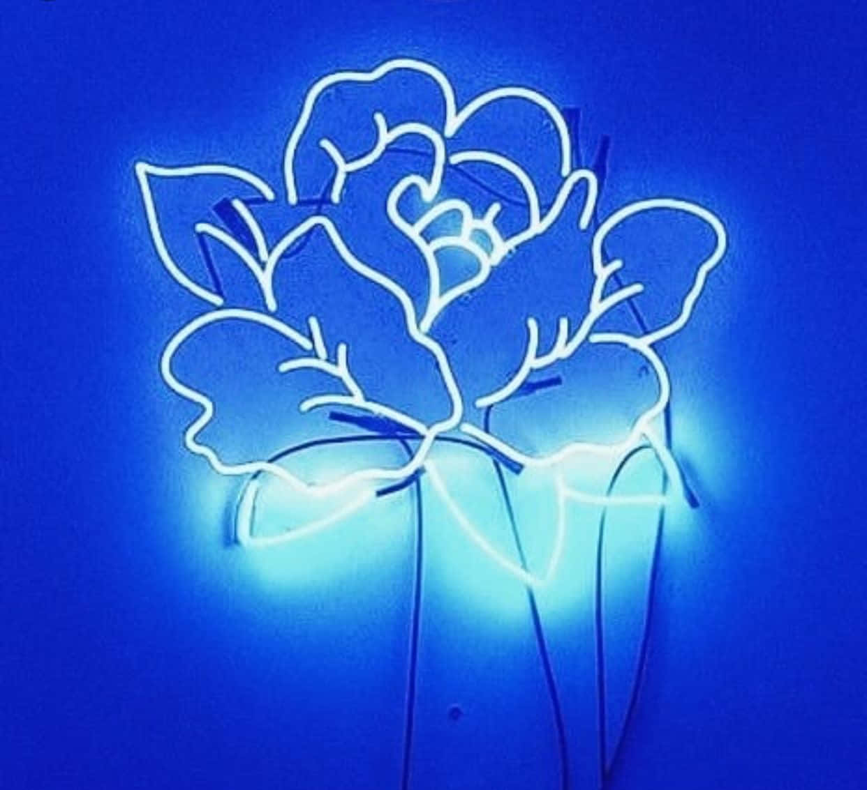 "Exploring the surreal beauty of neon blue aesthetics"