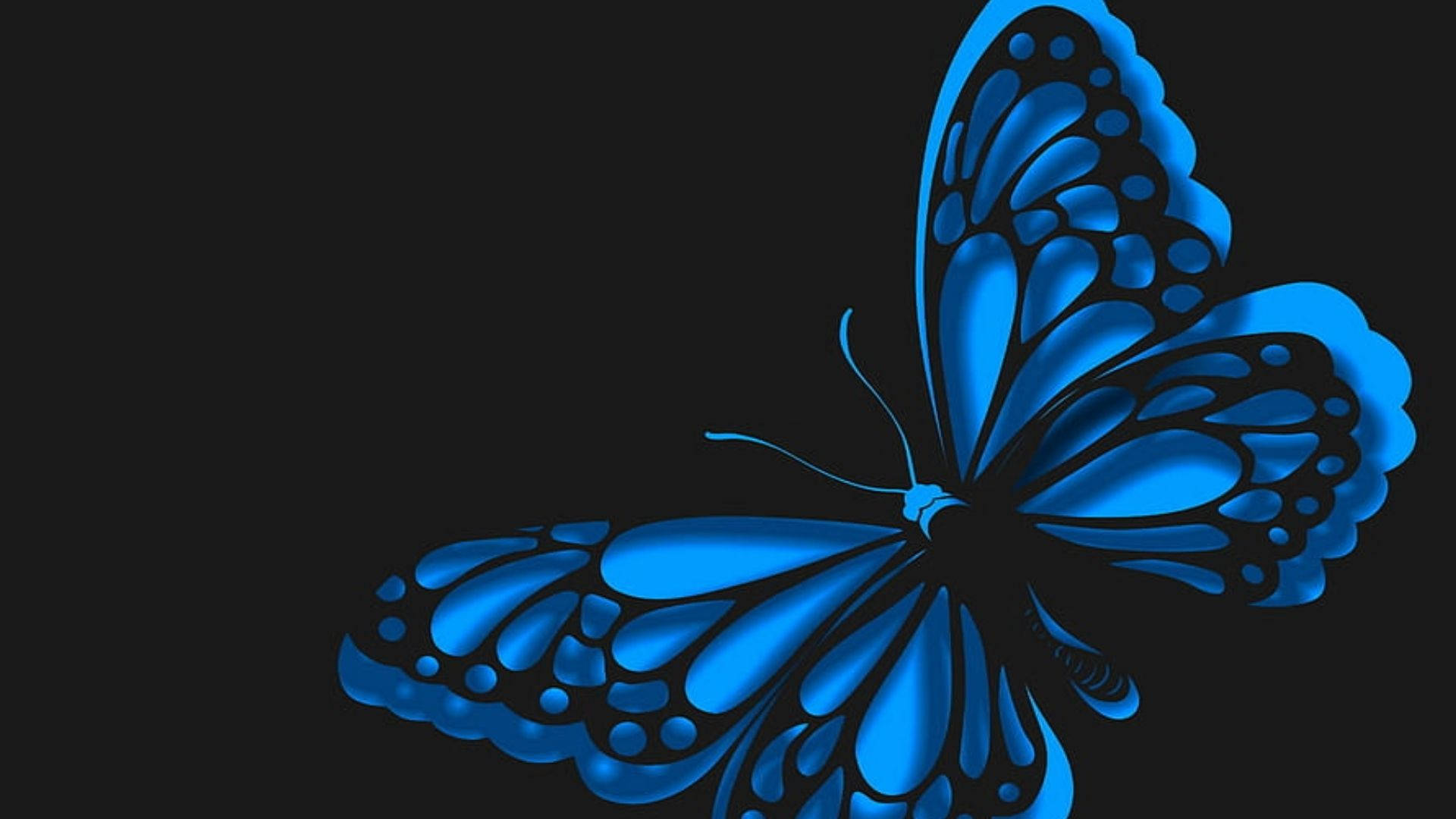 Neon Blue Butterfly Wallpaper