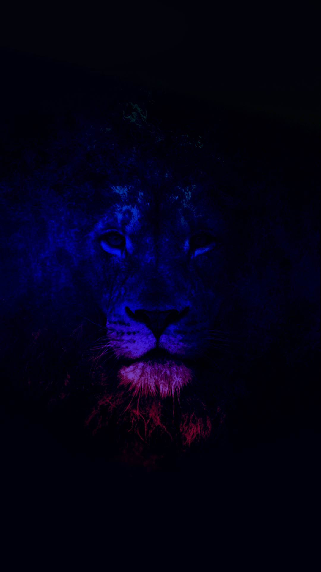 Blue Glowing Lion Animated  Animated backgrounds wallpaper for Pc   Mobiles 1080p  YouTube