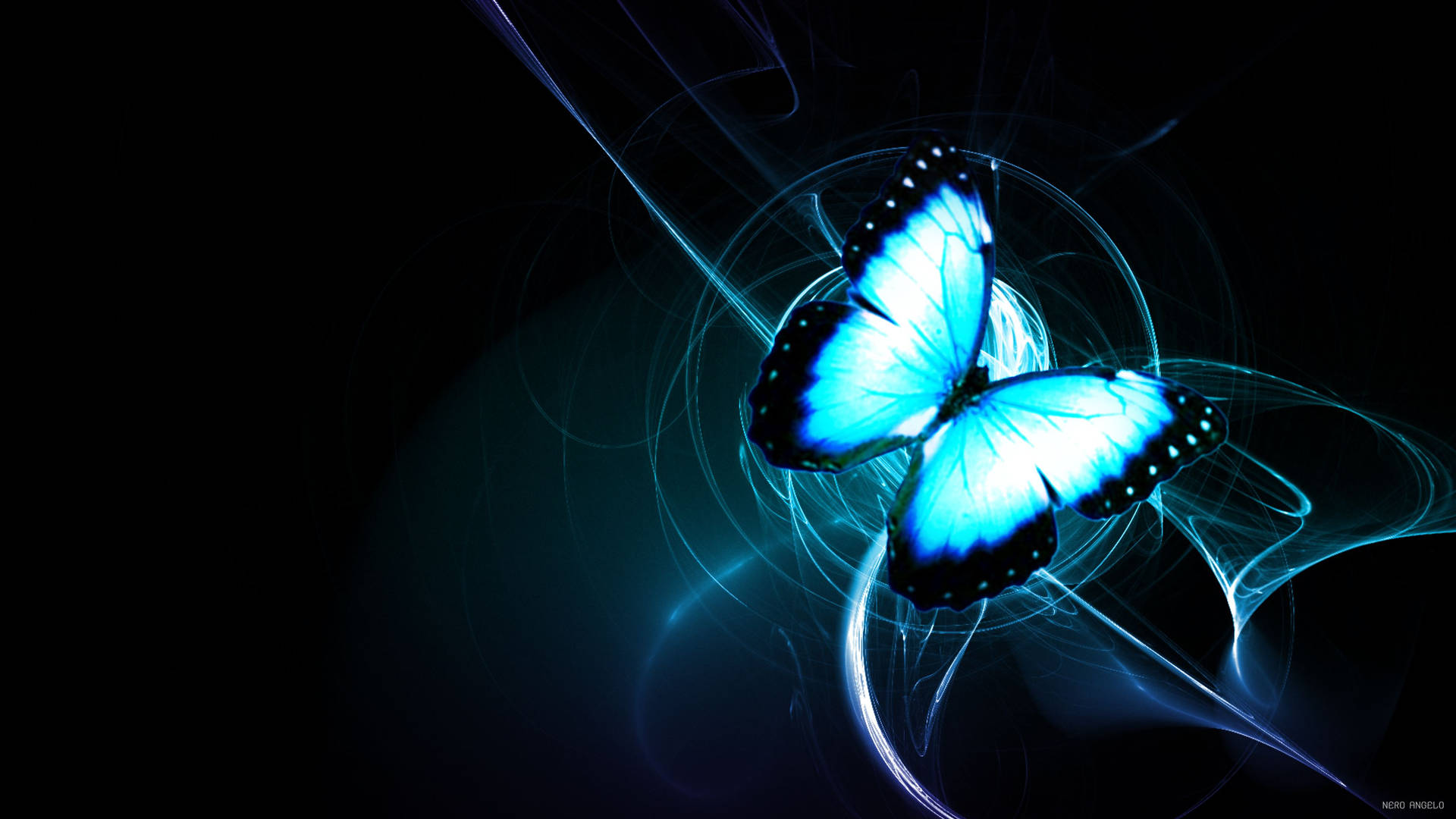 Neon Blue Night Butterfly Wallpaper